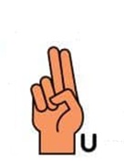 U