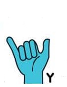 Y